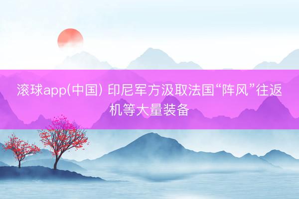 滚球app(中国) 印尼军方汲取法国“阵风”往返机等大量装备