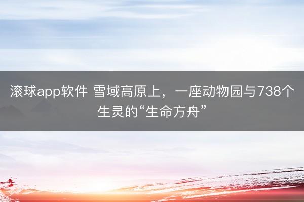 滚球app软件 雪域高原上，一座动物园与738个生灵的“生命