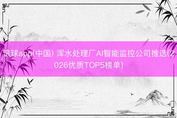 滚球app(中国) 浑水处理厂AI智能监控公司推选(2026