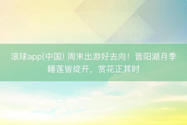 滚球app(中国) 周末出游好去向！晋阳湖月季睡莲皆绽开，赏花正其时