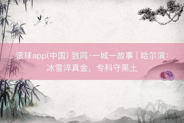 滚球app(中国) 致同·一城一故事 | 哈尔滨：冰雪淬真金，专科守黑土