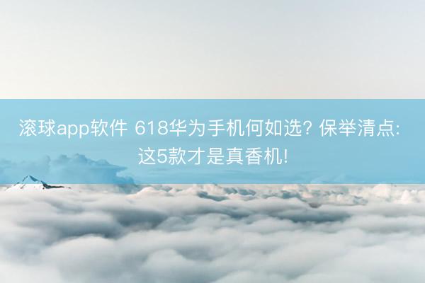 滚球app软件 618华为手机何如选? 保举清点: 这5款才是真香机!