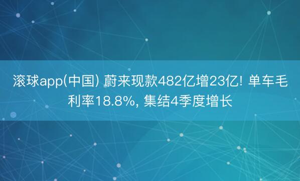 滚球app(中国) 蔚来现款482亿增23亿! 单车毛利率18.8%， 集结4季度增长