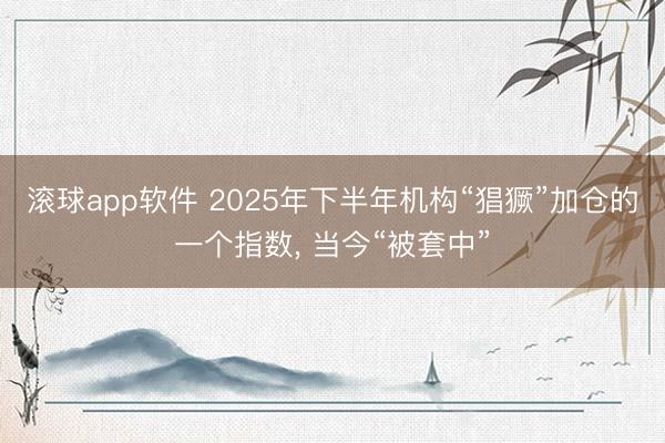 滚球app软件 2025年下半年机构“猖獗”加仓的一个指数， 当今“被套中”