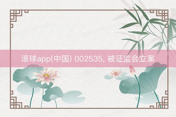 滚球app(中国) 002535, 被证监会立案
