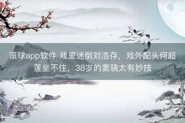 滚球app软件 戏里迷倒刘浩存，戏外配头何超莲坐不住，38岁的窦骁太有妙技