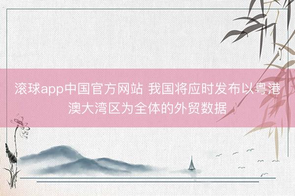 滚球app中国官方网站 我国将应时发布以粤港澳大湾区为全体的外贸数据