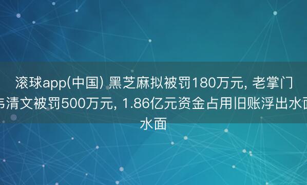 滚球app(中国) 黑芝麻拟被罚180万元， 老掌门韦清文被罚500万元， 1.86亿元资金占用旧账浮出水面