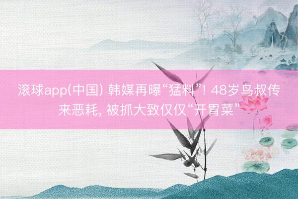 滚球app(中国) 韩媒再曝“猛料”! 48岁鸟叔传来恶耗， 被抓大致仅仅“开胃菜”