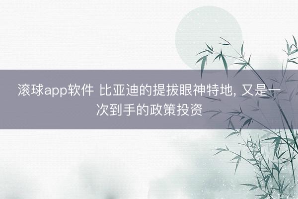 滚球app软件 比亚迪的提拔眼神特地， 又是一次到手的政策投资