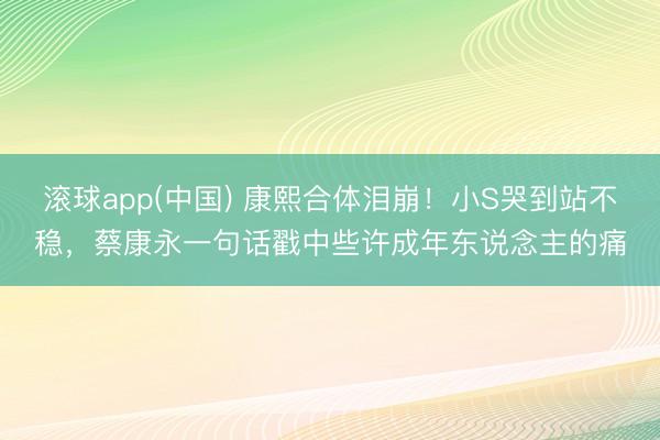 滚球app(中国) 康熙合体泪崩！小S哭到站不稳，蔡康永一句话戳中些许成年东说念主的痛