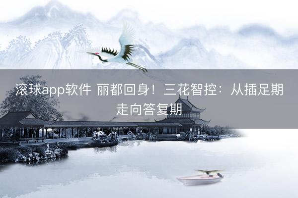 滚球app软件 丽都回身！三花智控：从插足期走向答复期