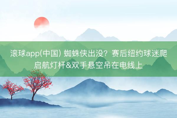滚球app(中国) 蜘蛛侠出没?赛后纽约球迷爬启航灯杆&双手悬空吊在电线上