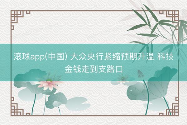 滚球app(中国) 大众央行紧缩预期升温 科技金钱走到支路口