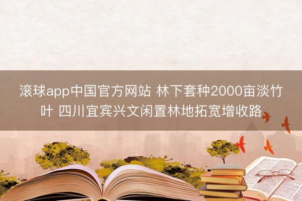 滚球app中国官方网站 林下套种2000亩淡竹叶 四川宜宾兴文闲置林地拓宽增收路