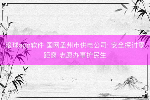 滚球app软件 国网孟州市供电公司: 安全探讨零距离 志愿办事护民生