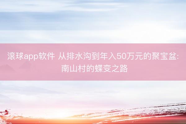 滚球app软件 从排水沟到年入50万元的聚宝盆: 南山村的蝶变之路