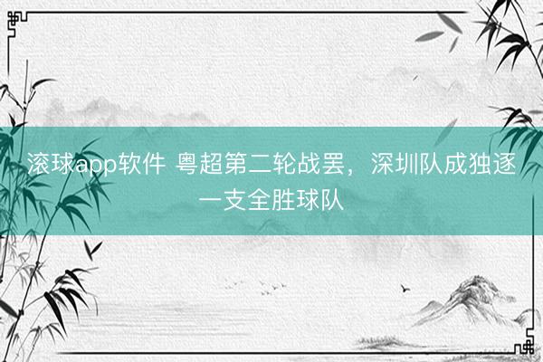 滚球app软件 粤超第二轮战罢，深圳队成独逐一支全胜球队