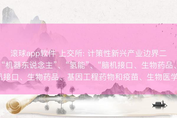 滚球app软件 上交所: 计策性新兴产业边界二级行业拟新增“量子”、“机器东说念主”、“氢能”、“脑机接口、生物药品、基因工程药物和疫苗、生物医学工程”等