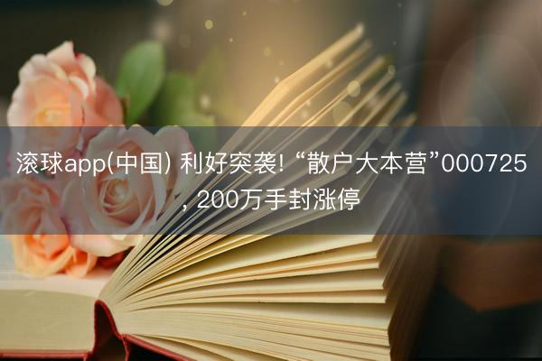 滚球app(中国) 利好突袭! “散户大本营”000725, 200万手封涨停
