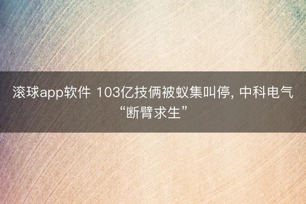 滚球app软件 103亿技俩被蚁集叫停, 中科电气“断臂求生”