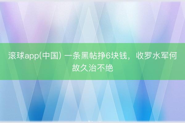 滚球app(中国) 一条黑帖挣6块钱，收罗水军何故久治不绝