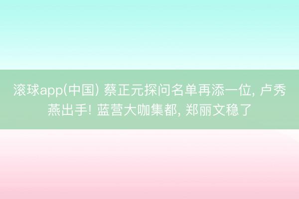 滚球app(中国) 蔡正元探问名单再添一位, 卢秀燕出手! 蓝营大咖集都, 郑丽文稳了