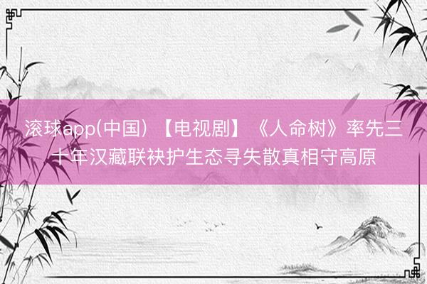 滚球app(中国) 【电视剧】《人命树》率先三十年汉藏联袂护生态寻失散真相守高原